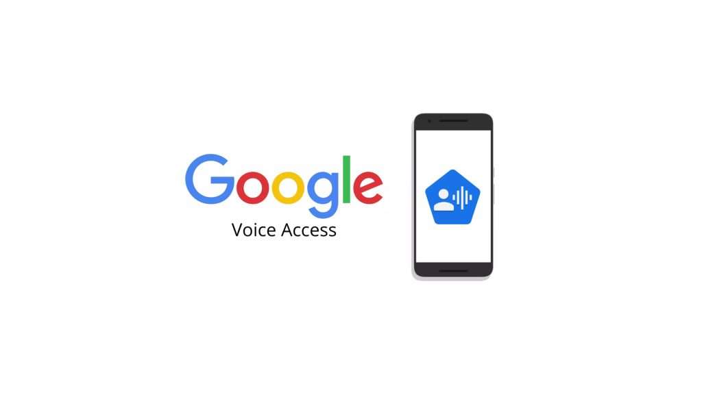 google voice access